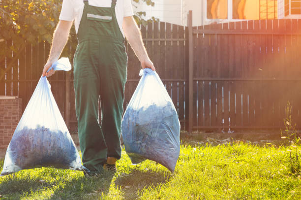 Best Junk Hauling Services  in Sebewaing, MI